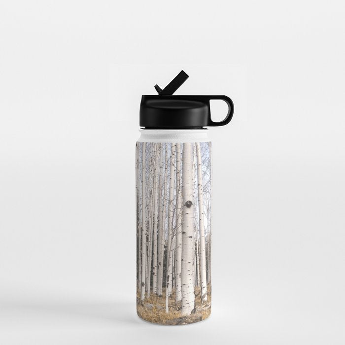 Tall Birch Forest Water Bottle Gallery Image 1