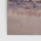 Marfa II - Sunset on the Range Poster Gallery Image 3