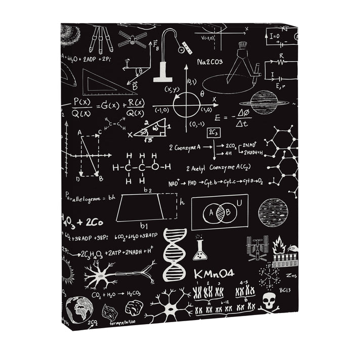 Science Madness Canvas Print Gallery Image 1