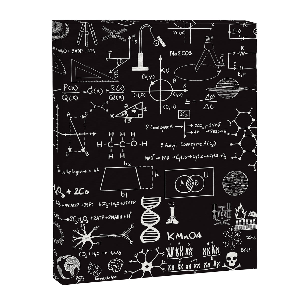 Science Madness Canvas Print Gallery Image 8