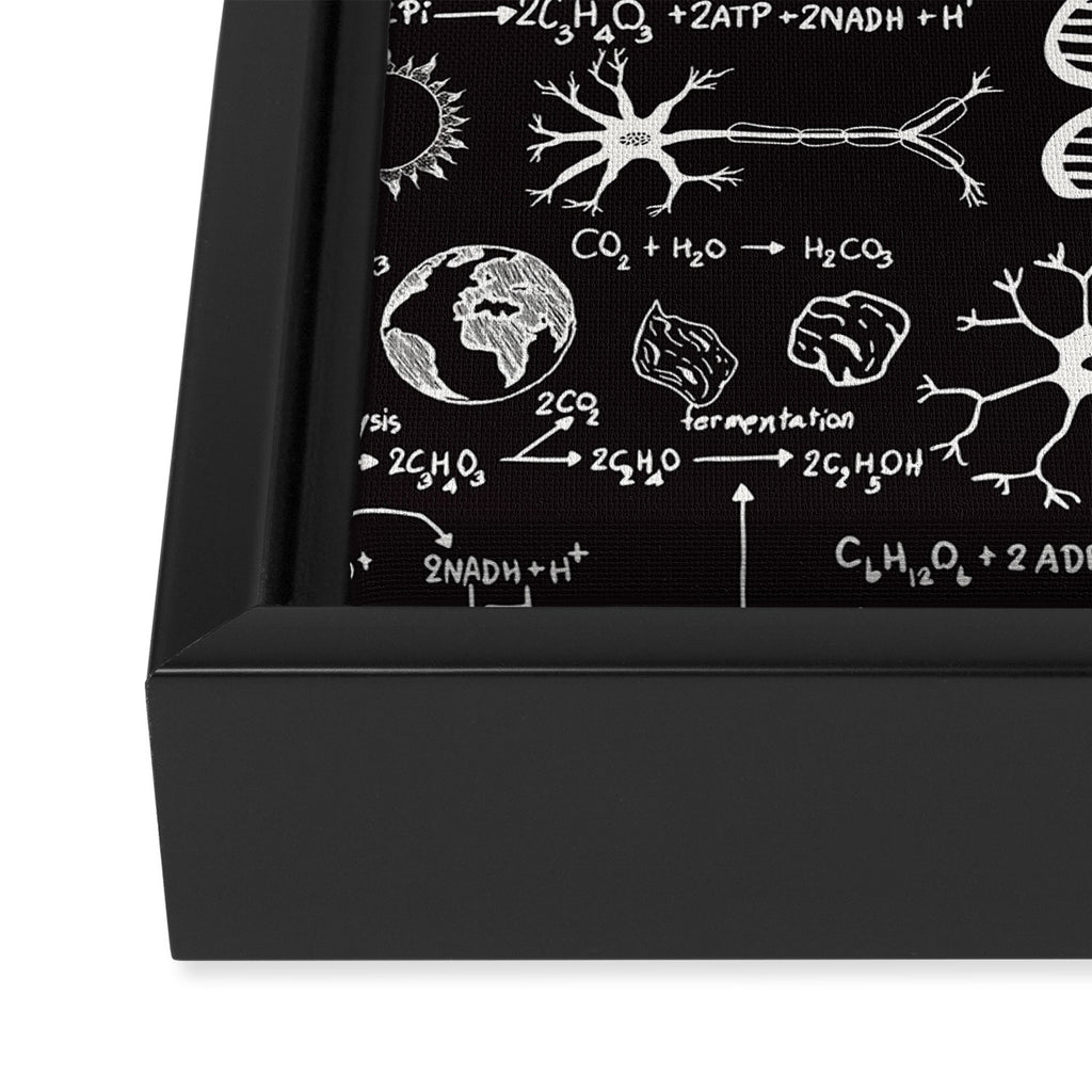 Science Madness Framed Canvas Print Gallery Image 3
