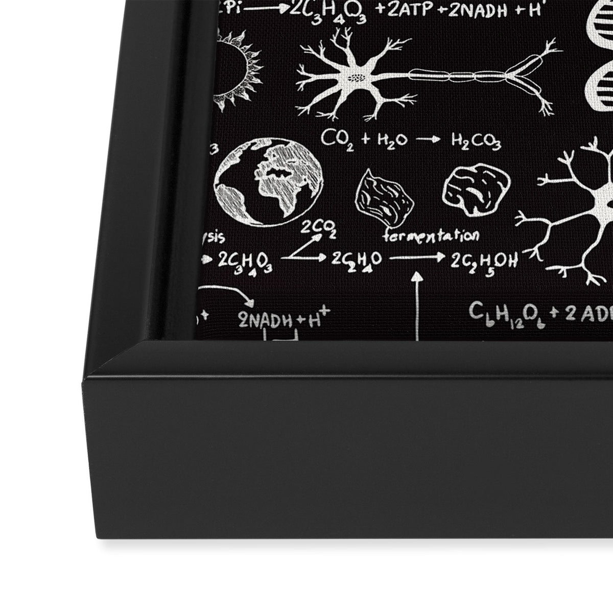 Science Madness Framed Canvas Print Gallery Image 3