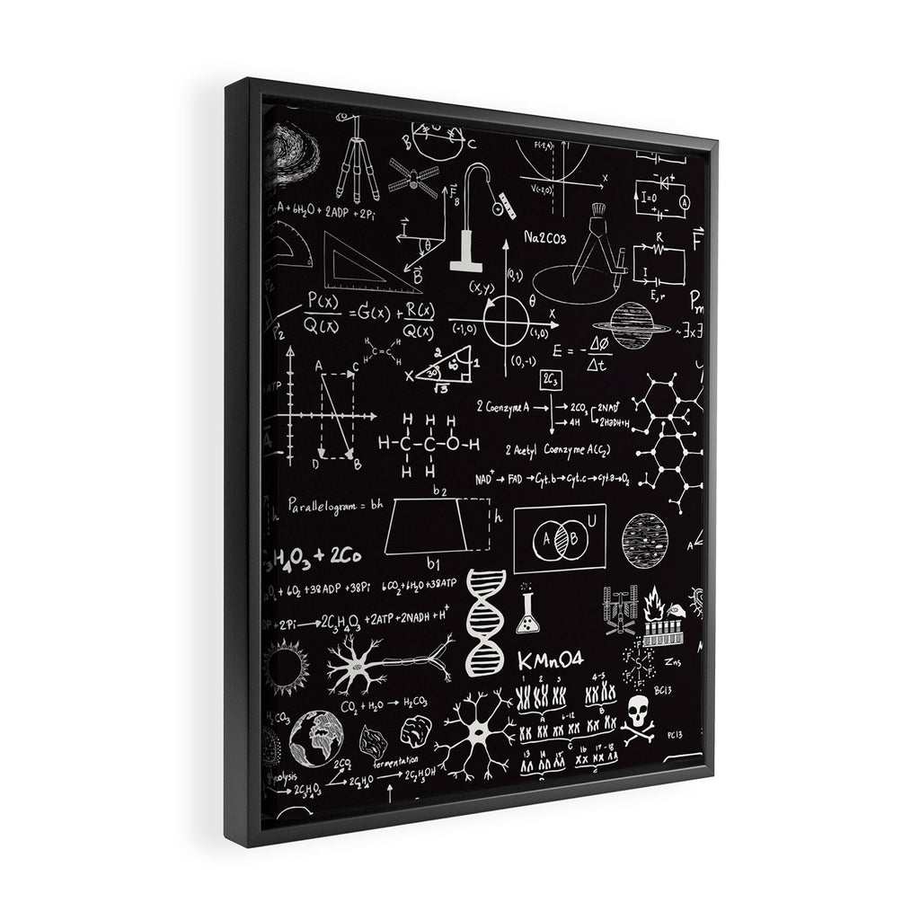 Science Madness Framed Canvas Print Gallery Image 2