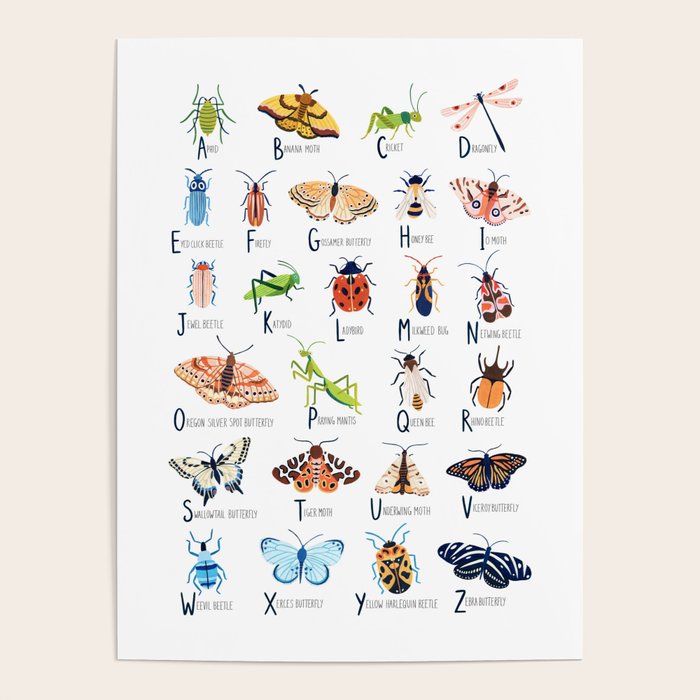Insect Alphabet Poster Gallery Image 4