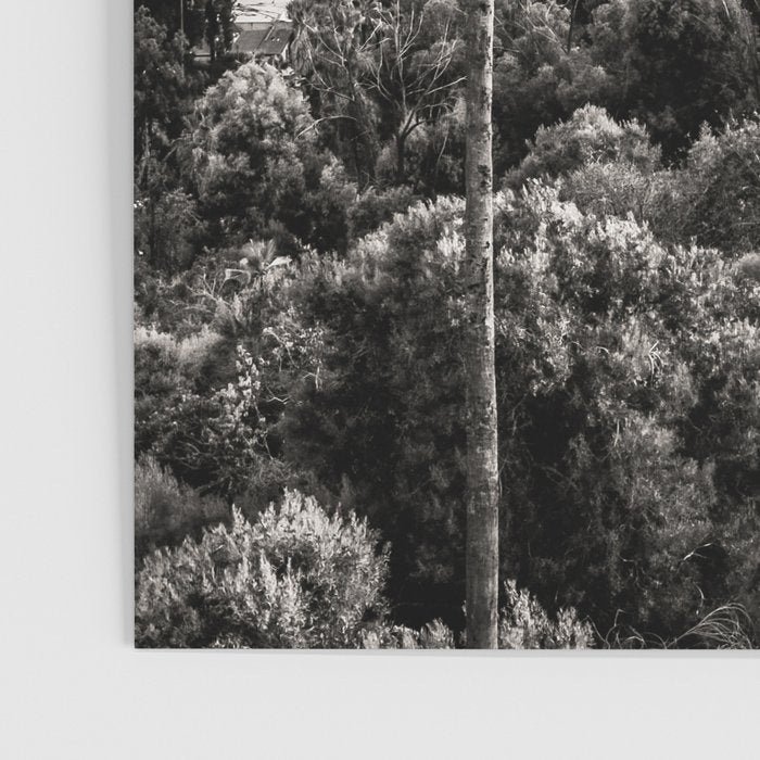 Los Angeles Black and White Poster Gallery Image 3