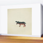 Hungry Hippo Wall Mural Gallery Image 2