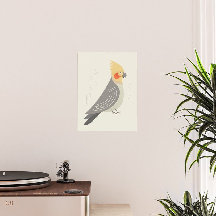 Cockatiel, Bird of Australia Poster Gallery Image 2
