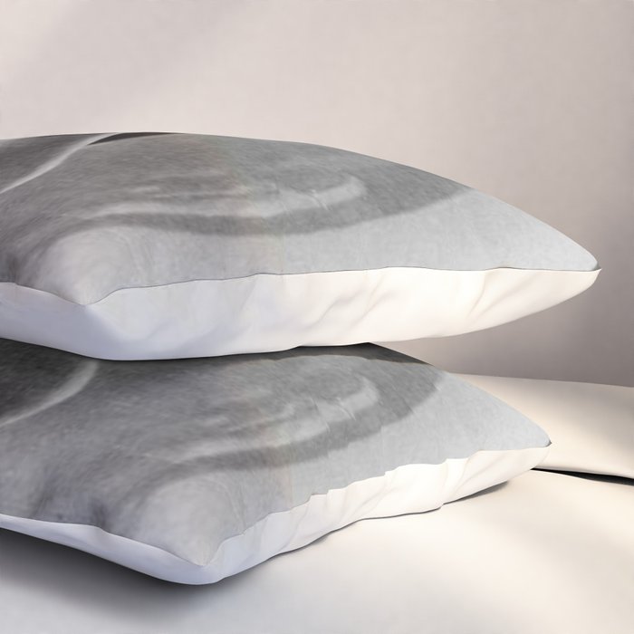 NASA Astronaut, Anna Fisher, black and white photograph Pillow Sham Gallery Image 3