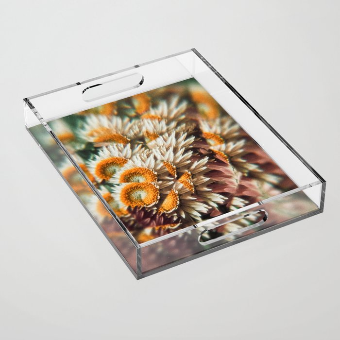 still falling Acrylic Tray Gallery Image 1