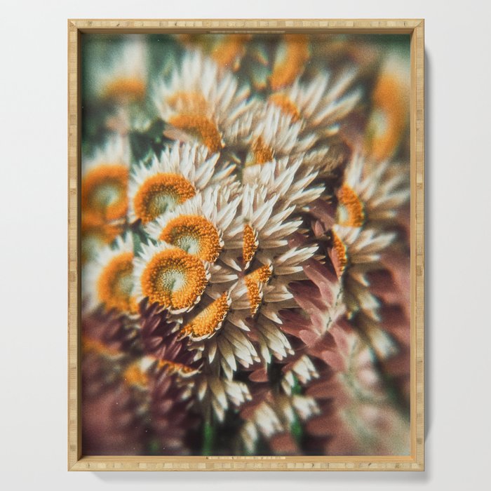 still falling Serving Tray Gallery Image 1