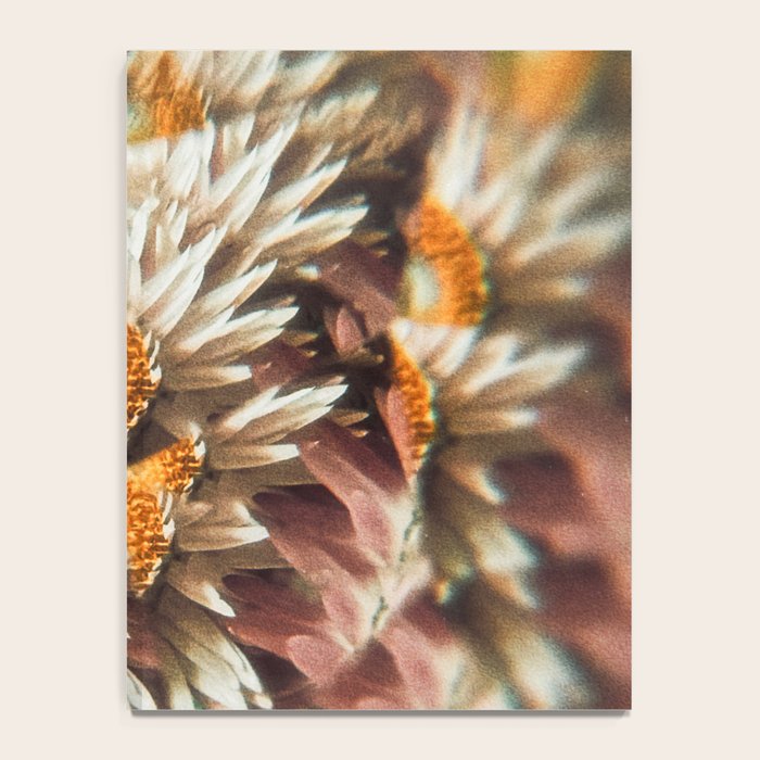 still falling Notebook Gallery Image 4