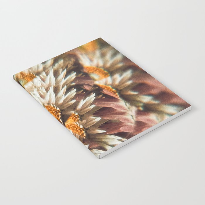 still falling Notebook Gallery Image 1