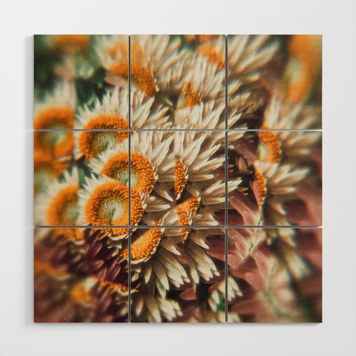 still falling Wood Wall Art Gallery Image 1