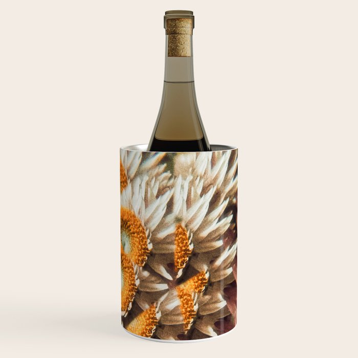 still falling Wine Chiller