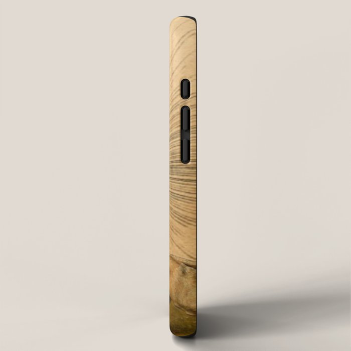 Strength iPhone Case Gallery Image 2