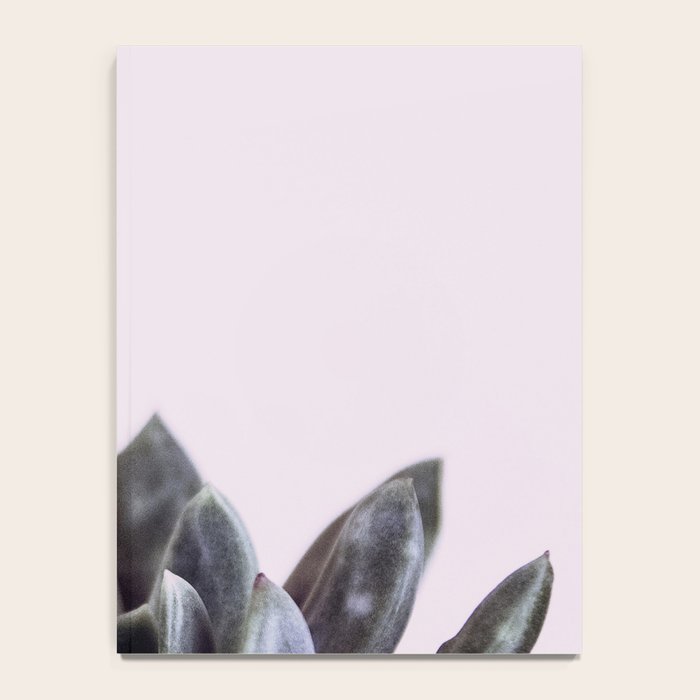 pink succulent cactus Notebook Gallery Image 4