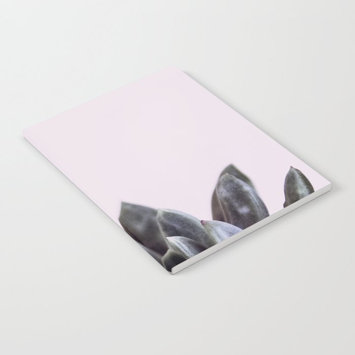 pink succulent cactus Notebook Gallery Image 2