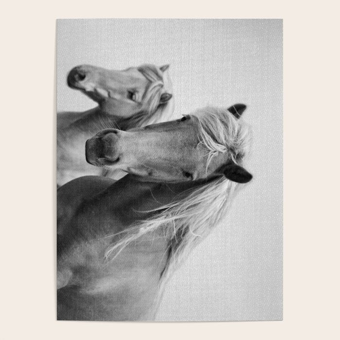 Horses - Black & White Poster Gallery Image 1