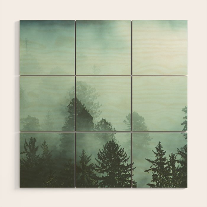 Magnificent Morning - Foggy Redwood Forest Nature Photography Wood Wall Art Gallery Image 1