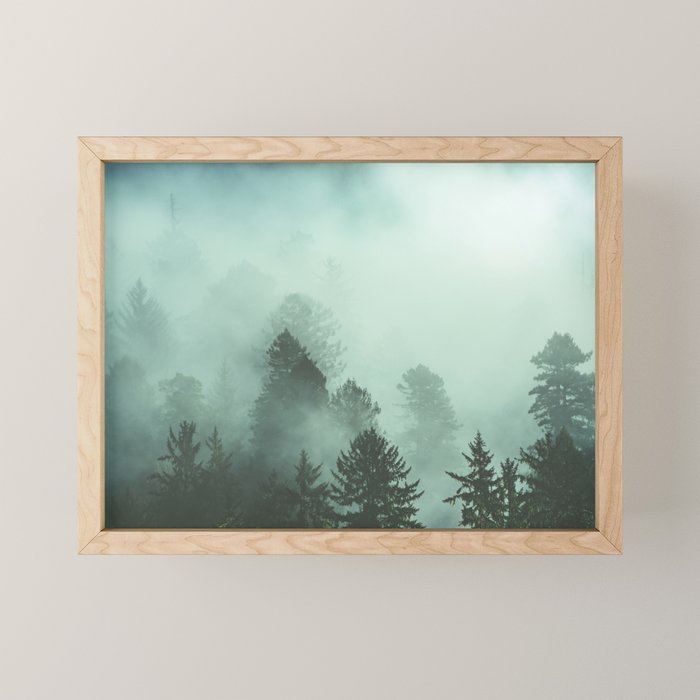 Magnificent Morning - Foggy Redwood Forest Nature Photography Mini Art Print Gallery Image 1