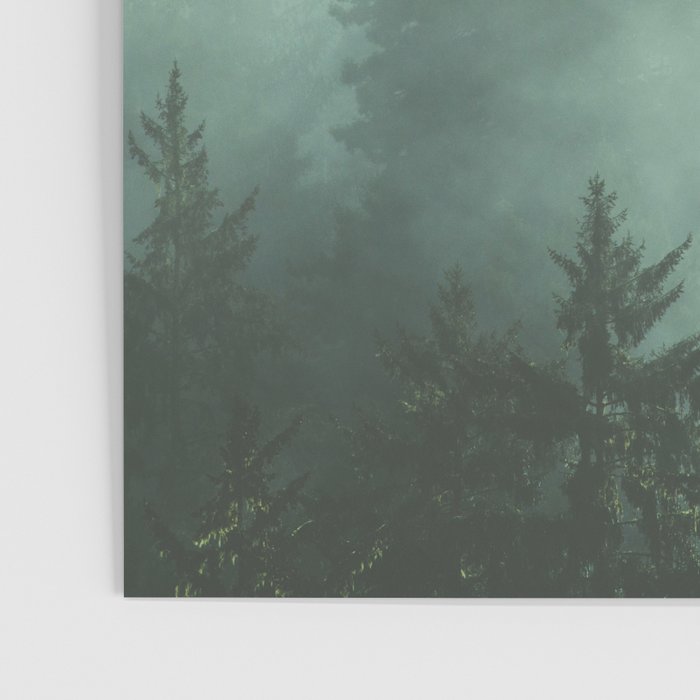 Magnificent Morning - Foggy Redwood Forest Nature Photography Poster Gallery Image 3