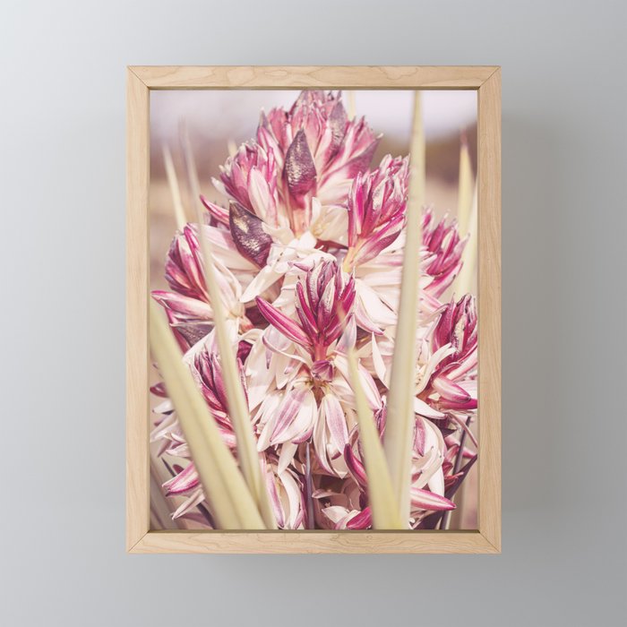 West Texas Landscape x Yucca Bloom Photography Mini Art Print Gallery Image 1