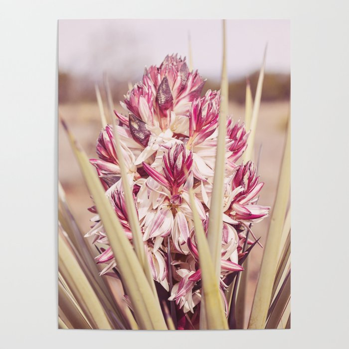 West Texas Landscape x Yucca Bloom Photography Poster Gallery Image 4
