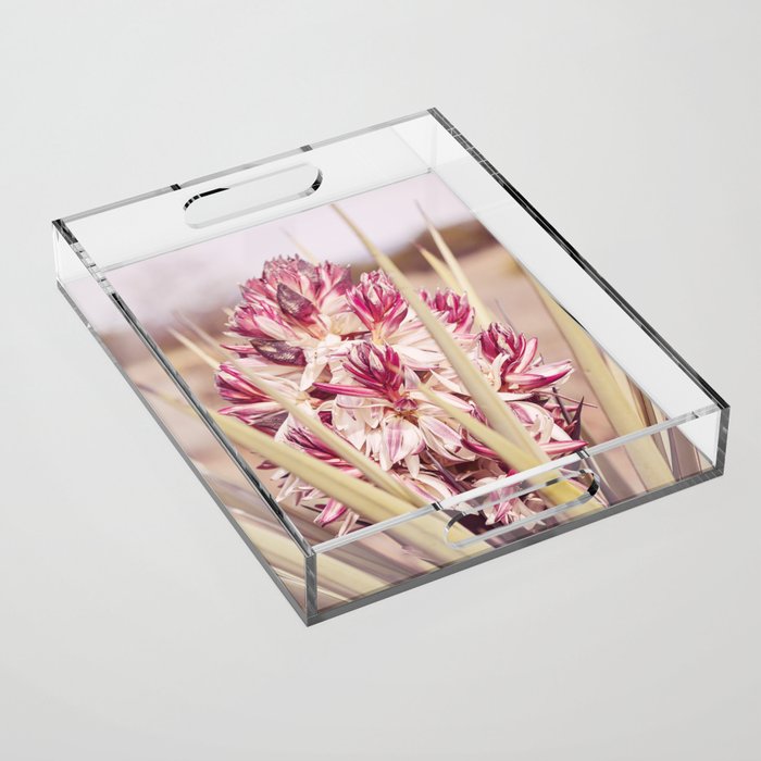 West Texas Landscape x Yucca Bloom Photography Acrylic Tray Gallery Image 1