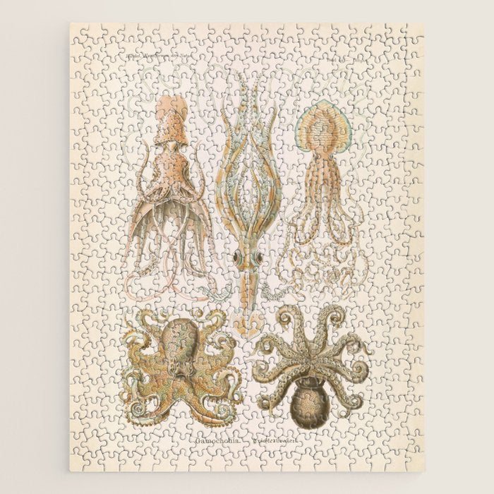 Vintage Octopus Illustration Print, Scientific Illustrations, Octopus Print, Octopus Wall Art Jigsaw Puzzle Gallery Image 1