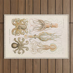 Vintage Octopus Illustration Print, Scientific Illustrations, Octopus Print, Octopus Wall Art Outdoor Rug Gallery Image 1
