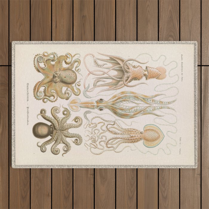 Vintage Octopus Illustration Print, Scientific Illustrations, Octopus Print, Octopus Wall Art Outdoor Rug Gallery Image 1