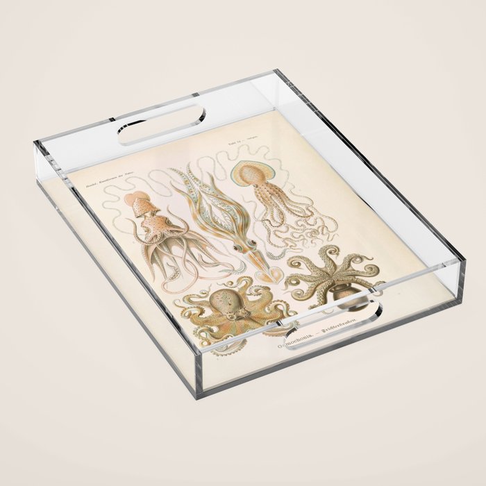 Vintage Octopus Illustration Print, Scientific Illustrations, Octopus Print, Octopus Wall Art Acrylic Tray Gallery Image 1
