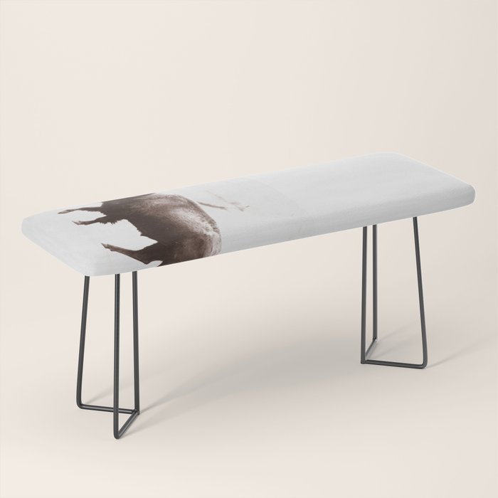 Bison 3 Bench