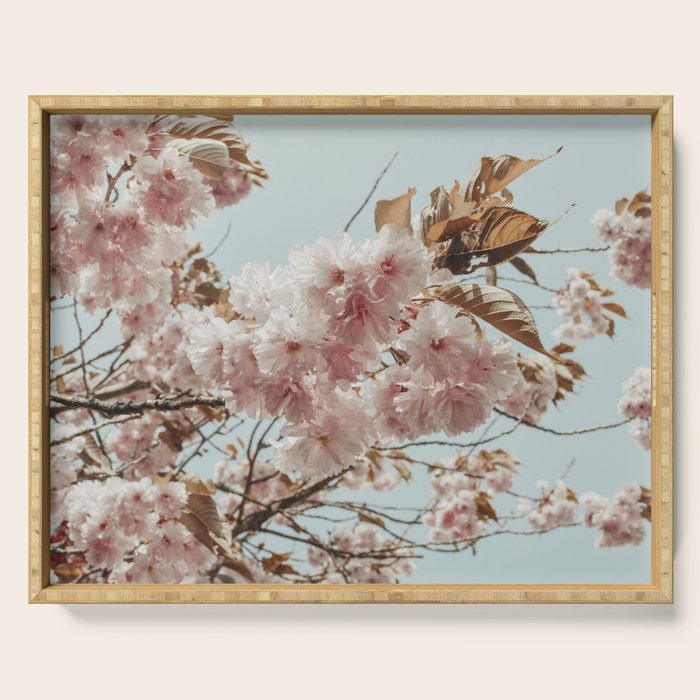 Pink Blossoms - pastel pink flowers cottage core floral grannycore Serving Tray Gallery Image 1