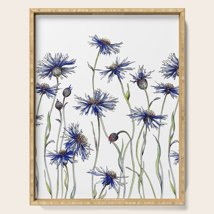 Blue Cornflowers, Illustration Serving Tray Gallery Image 1