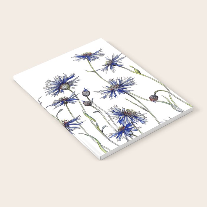 Blue Cornflowers, Illustration Notebook Gallery Image 1