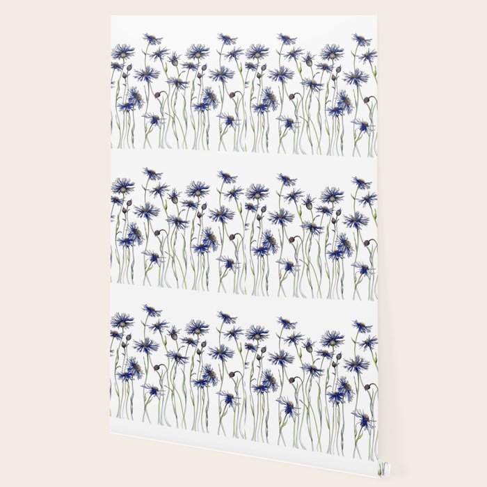 Blue Cornflowers, Illustration Wallpaper Gallery Image 2