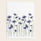 Blue Cornflowers, Illustration Poster Gallery Image 4