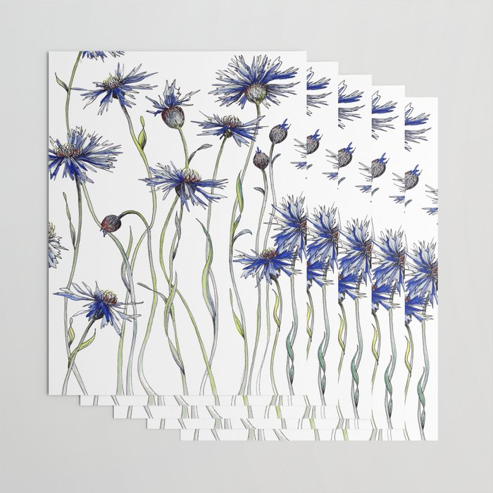 Blue Cornflowers, Illustration Wrapping Paper Gallery Image 3