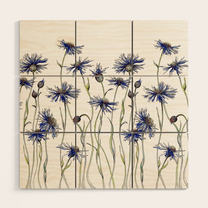 Blue Cornflowers, Illustration Wood Wall Art Gallery Image 1