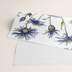 Blue Cornflowers, Illustration Wrapping Paper Gallery Image 2