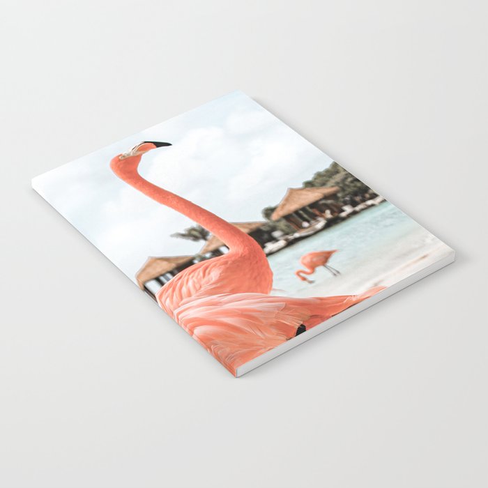 Pink Flamingos On Aruba Island Art Photo | Caribbean Beach Wall Print | Tropical Travel Photography Notebook Gallery Image 1