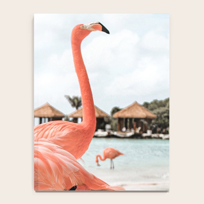 Pink Flamingos On Aruba Island Art Photo | Caribbean Beach Wall Print | Tropical Travel Photography Notebook Gallery Image 4