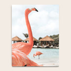 Pink Flamingos On Aruba Island Art Photo | Caribbean Beach Wall Print | Tropical Travel Photography Notebook Gallery Image 4