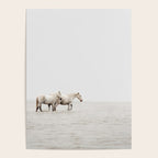 White Camargue Horses - Minimalist Nature Photography Poster Gallery Image 4