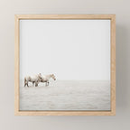 White Camargue Horses - Minimalist Nature Photography Mini Art Print Gallery Image 1