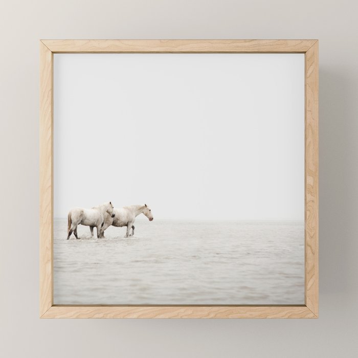 White Camargue Horses - Minimalist Nature Photography Mini Art Print Gallery Image 1