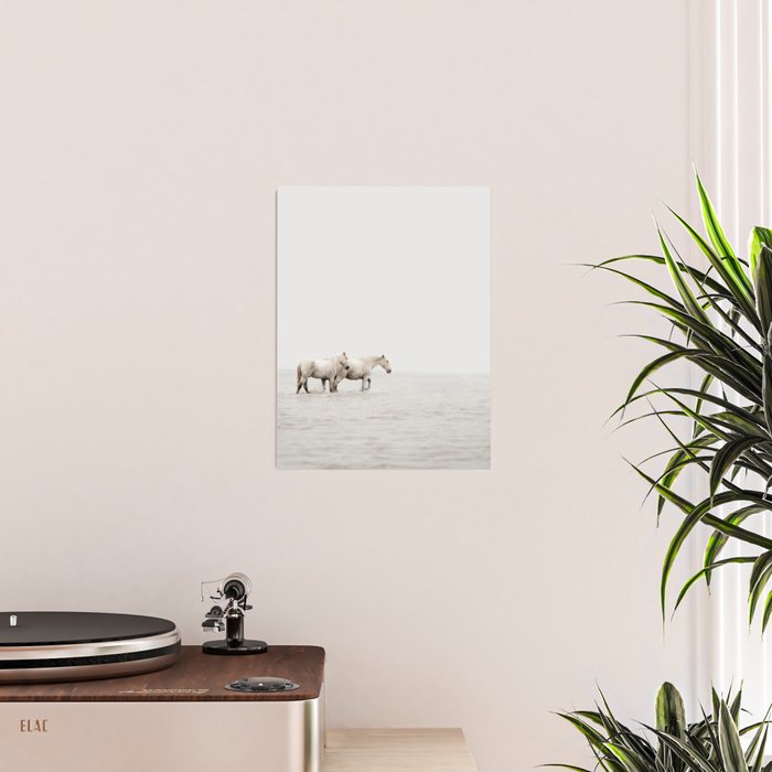 White Camargue Horses - Minimalist Nature Photography Poster Gallery Image 2