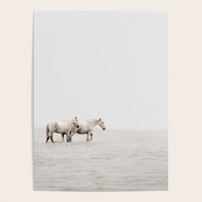 White Camargue Horses - Minimalist Nature Photography Poster Gallery Image 1