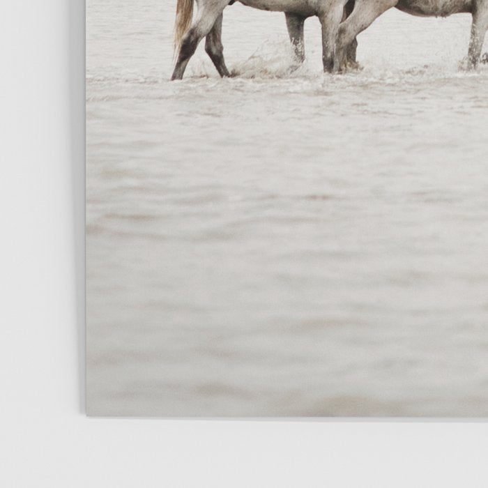 White Camargue Horses - Minimalist Nature Photography Poster Gallery Image 3